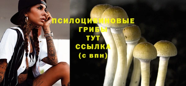 герыч Алексин