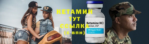 шишки Новокубанск