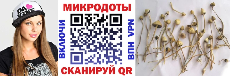 Галлюциногенные грибы ЛСД  кракен ТОР  Миньяр 